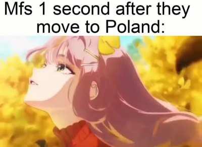 Polish femboy joke #21038