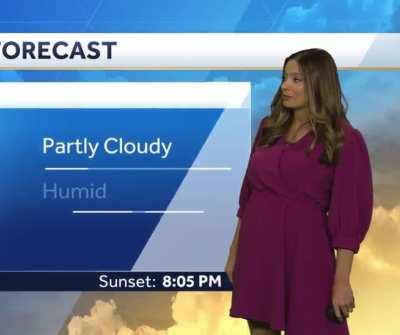 Allison Rogers WLWT (pregnant & getting curvy)