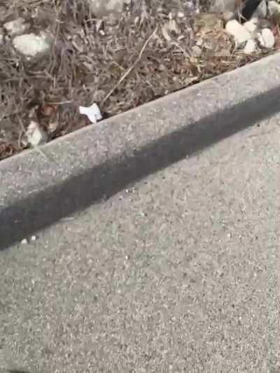 Underestimated how fast I was gonna go on my longboard