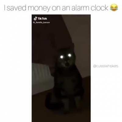 Lmao, everybody wake up!