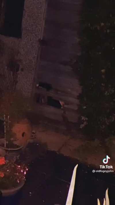 Not my tiktok but it gave me the creeps