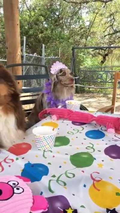 Birthday Party! 🎉🎂🎊🥳