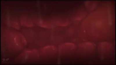 Deep pounding and creampie