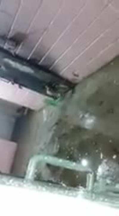 Prendiendose en fuego el gato acá en la celda con los pibes 🔥😈🤙