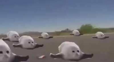 Captain: Tank has been delivered. Every single person in the match racing to get it like: