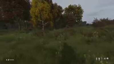 Thats me in that car..