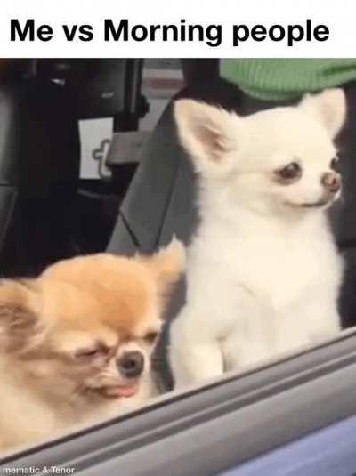 Man lemme go back to sleep pls