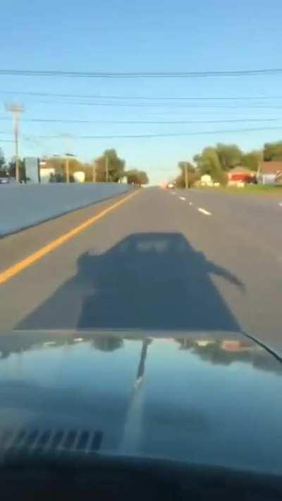 I hope that's not been posted here already (found on discord)