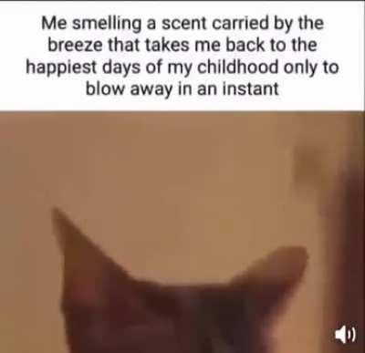 Just a little too relatable!!