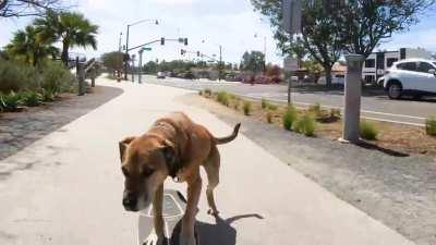 HMK While I Skate to the Beach