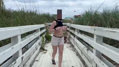 Friendly stroll to the beach [GIF]