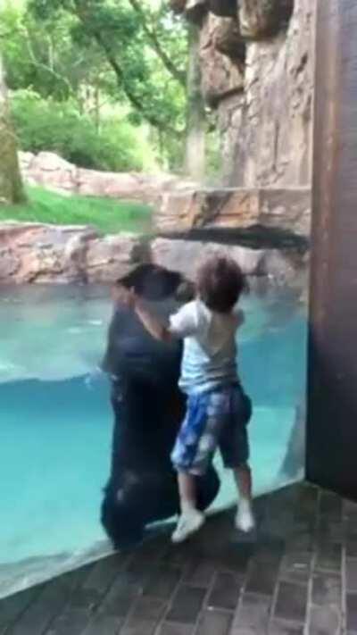 Sure, I'll jump with you kid