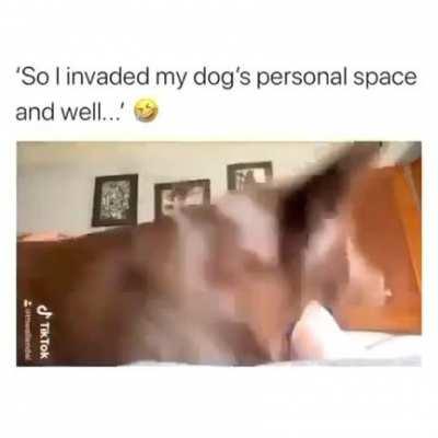 doggo needs his space
