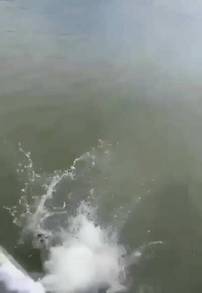 Don't forget to take your sneakers off before...