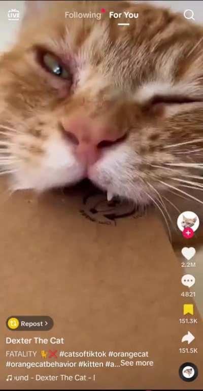 Flexing his one orange braincell HARD 💪🧠 