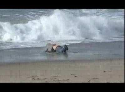 WCGW when you're out of quarantine and just trying to enjoy Summer Vacation ?