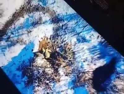 Ukrainian drone drop a grenade unto a Russian soldier that is firing at it, shrapnel flies into a Russian soldier's behind, and he asks his comrade to check out his wound