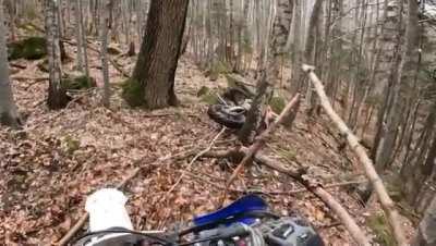 If it's brown lie down, or just rev your engine