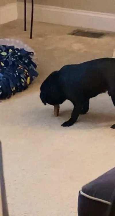 Gary does this with all his bones 🤦‍♀️