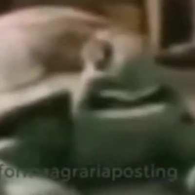 El Peruano Menos Sacado