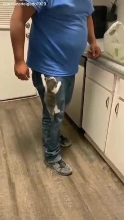 Had to post this here.