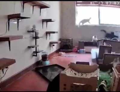 Excitatory quantum particles visualized via EM.