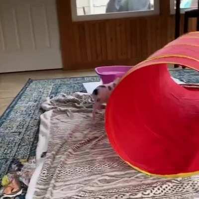 Running through the tube