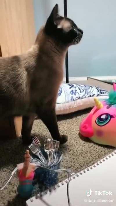 What a beautiful decoration! I shall hang it from my ceiling.