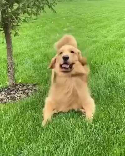 Watcha doing hooman? I'm in to it!