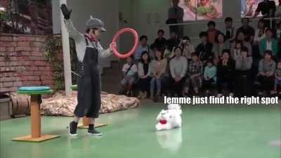 Many catculations needed