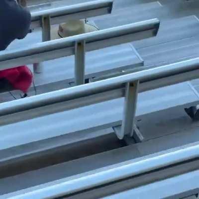 Diesel on a dynamometer (September 2021)