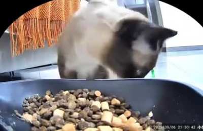 Amiga, come que estás muy delgadita...