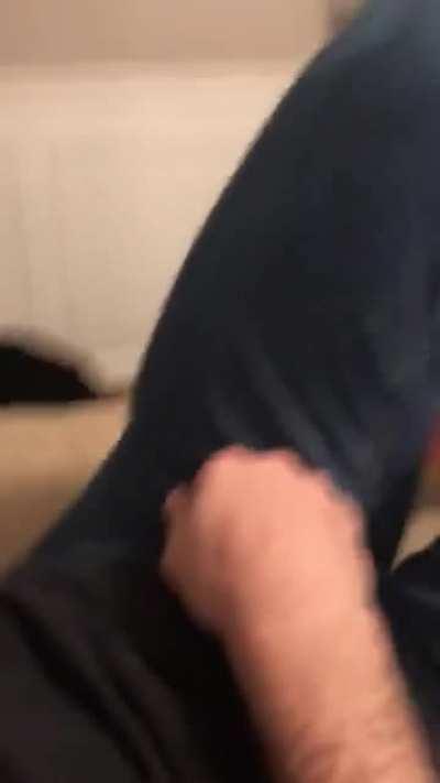 A cute but evil Sac-Tapper Cat