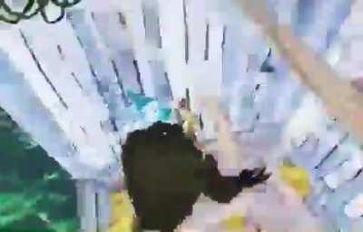 SHESH novo temple run