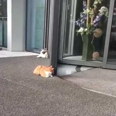 To stop the door from spinning