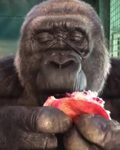 Mmmm... Monke is like pomegranate