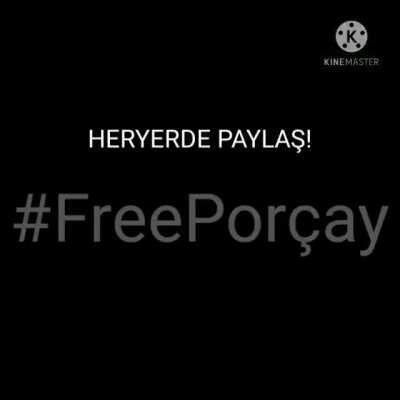 #FreePorçay (shitpost)
