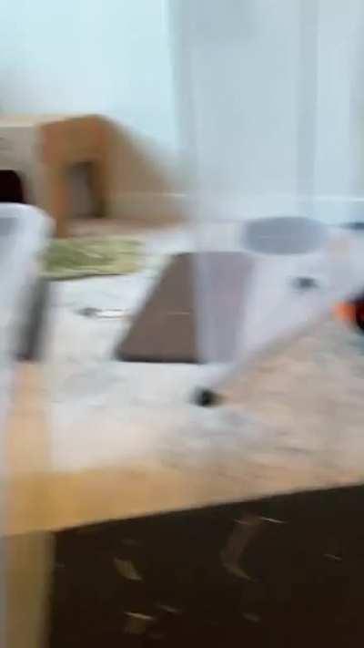 Can you guess who the trouble maker is? 🤔🤨