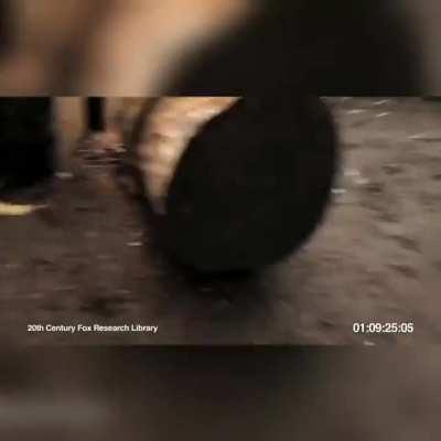 🦧 обезьяна