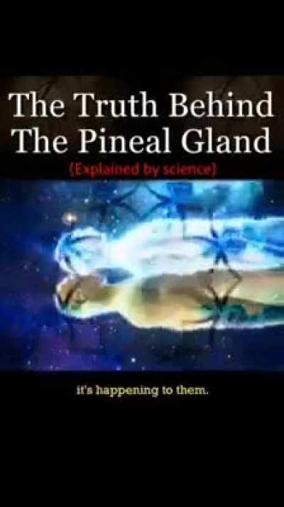 the pineal gland