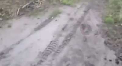 Ru pov: Russians cut Ukrainian drone's fiber optic cable