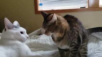 Look at that face, she can feel it coming.