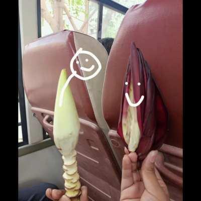 how was sex discovered?