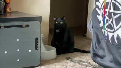 The power went out temporarily and his fountain wasn’t on. He couldn’t just drink like a commoner.