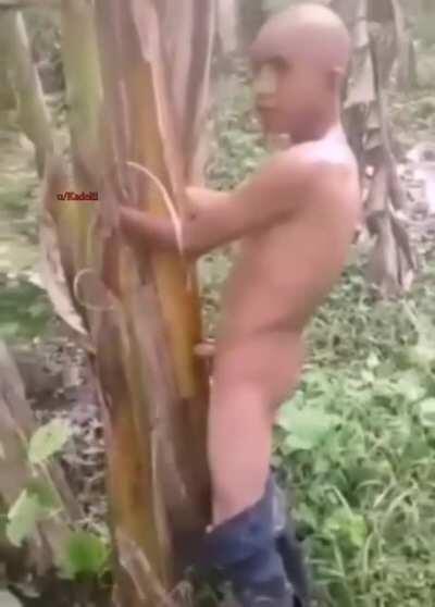 Yokluktan ağaç siken adam