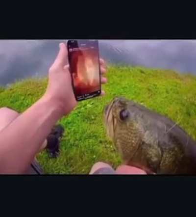 😃😃😃ion’gvauk🗳️📲🤙