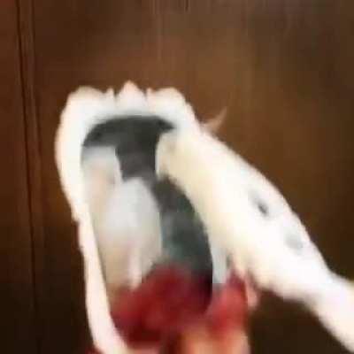 If you’re happy and you know it