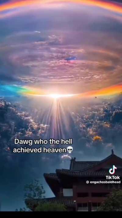 Who tf leaked the Diary?