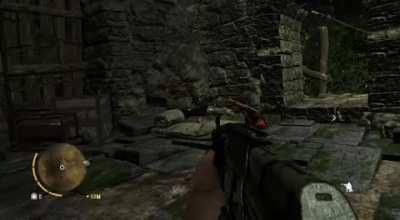 [Far Cry 3] I don't know, my friend just sent me this