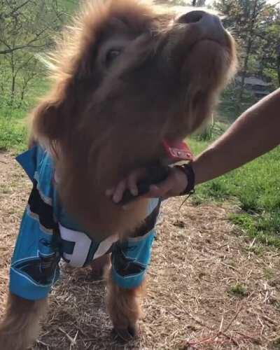 James having a nice brush